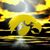 Donald Derry's profile image