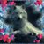 Cynthia Weaver's profile image