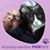 Jodi Bonner's profile image