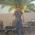 Mauricio Marino's profile image