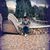 Francesco Damiano's profile image