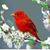 Luis Gil's profile image