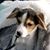 Dottie Lombo Andrassy's profile image