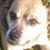 Mary Thibodeau's profile image