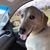 Kevin Hetzer's profile image