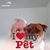 Sue Adkins's profile image