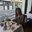 Marcia Glogowski's profile image