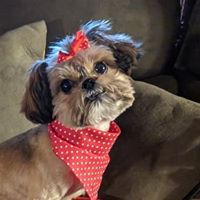 Teresa Smith's profile image