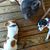 Roberta Robinson Spease's profile image
