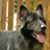 Krissy Meyer's profile image