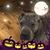 Gary Wafford's profile image