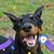 Patti Towne Fetzer's profile image