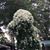 Diane Jeffery's profile image