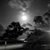 George D Salter's profile image