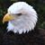 Allen Jaremba's profile image