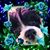 Christy Rollins's profile image