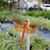 Debbie Mattox's profile image
