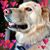 Barbara Wenner's profile image