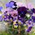 Lynne Byrd's profile image