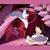 Law Eroom's profile image