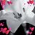 Dluvvlee Twin's profile image