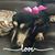 Joyce Alder's profile image