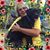 Annette Schelhorn's profile image