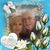 Joanne Ciccaglione Hoffmann's profile image