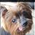 Jody Fillpot Kunz's profile image