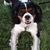 Desirae Rolen's profile image