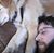 Jonathan Vassar's profile image