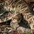 Mark T. Kracker's profile image