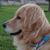 Mahory Olmedo's profile image