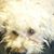 Crabb Joyce's profile image