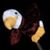 John Goers's profile image