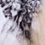 Bert Nitzke's profile image