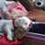 Christine Majkut's profile image