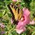 Imperio Escamilla's profile image