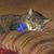 Kate Grebitus's profile image