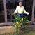 Tim Haigler's profile image