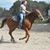 Cecelia Varnum's profile image