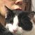 Pamela Haven Berkovits's profile image