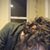 MJ Page-Lieberman's profile image