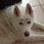 Julanne Carlson Lobaito's profile image