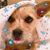 Michelle Reid's profile image