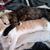 Barbara Jean Healon's profile image