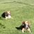 Missy Anderson Maher's profile image