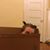 Maddi Schmidt's profile image