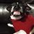 Christobel Pondobel's profile image