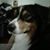 Donna Byrne's profile image